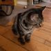 Profile Picture of Stella Boyd (@Stella-Boyd) on Facebook