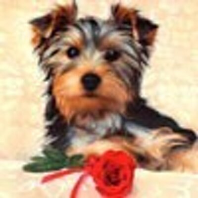 Profile Picture of Adrian Nichols (@AdrianNichols9) on Twitter