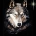 Profile Picture of Steven Belka (@steven.belka.7) on Facebook