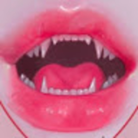 Profile Picture of Jordan Bringhurst (@jorbringhurst) on Poshmark