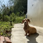 Ben Paul Hogan - Facebook Profile Picture of Ben Paul Hogan (@Ben-Paul-Hogan) on Facebook