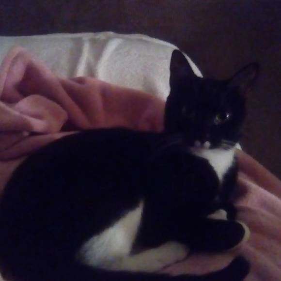 Profile Picture of Kimberly Kaniecki (@kim33ann) on Poshmark