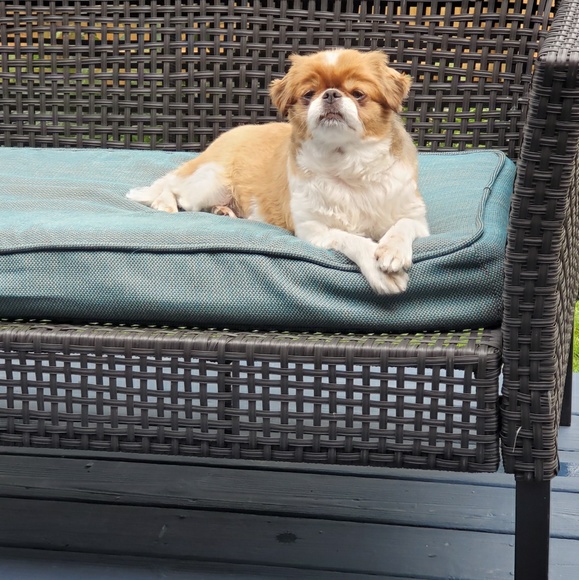 Profile Picture of Michael Lamotte (@mikeman78) on Poshmark