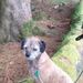 Profile Picture of Elma Reid (@elma0126) on Pinterest