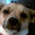 Profile Picture of Bryce Christopher (@bryce.christopher.984) on Facebook