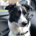 Profile Picture of Jacob Storer (@dudleydoespawgust) on Instagram