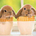 Profile Picture of Yanet López Velasco (@lovey15) on Flickr