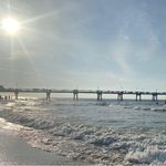 Profile Picture of Renee McClanahan (@mrenee262) on Instagram