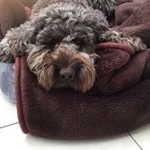 Profile Picture of Timmy Dee (@timmydee1967) on Instagram