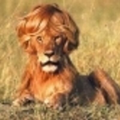 Profile Picture of Mike Bevil (@mikebevil) on Twitter