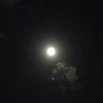 Profile Picture of Jeff Tweedy (@jeff_jeff_jeff_18) on Instagram