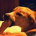 Profile Picture of Jacob Gottschalk (@gottschalk2486) on Pinterest