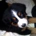 Profile Picture of George Clapper (@george.clapper.1) on Facebook