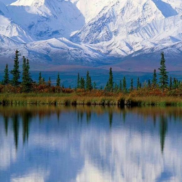 Profile Picture of Kim Masker (@mik0280) on Poshmark