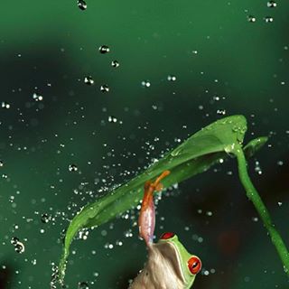 Profile Picture of Fritz Bachmann (@fritz.bachmann.7) on Facebook