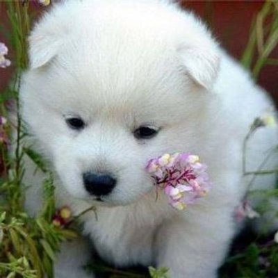 Profile Picture of Maryoris Sepulveda (@ErikMaryoris) on Twitter