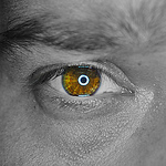 Profile Picture of G?bor Szunyog (@Mo$quito Photography) on Flickr