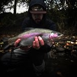 Profile Picture of Joe Cavenaugh (@jfcavenaugh) on Instagram