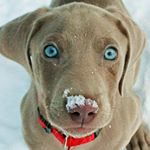 Profile Picture of Beki Smith (@beki_smith123) on Instagram