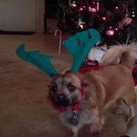 Profile Picture of Brian Schultz (@brian-schultz-25) on Quora