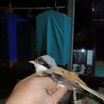 Profile Picture of Andrew Fero (@Andrew-Fero) on Facebook