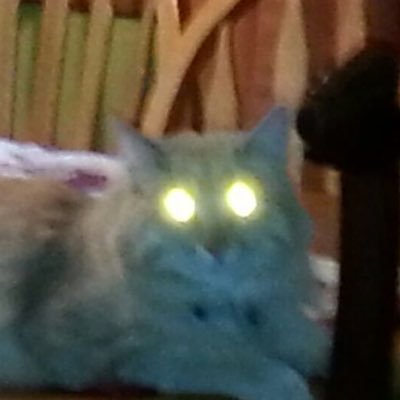 Profile Picture of Caryn Friedlander (@bcaryn) on Twitter