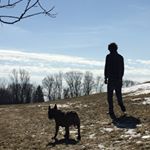 Profile Picture of Matt Joseph (@mattymugshot) on Instagram