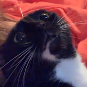 Profile Picture of Hannah Nabors (@hannahnabors5708) on Youtube