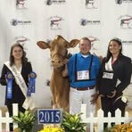 Profile Picture of Travis Covert (@travis.covert.50) on Facebook