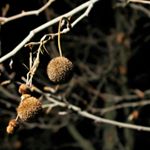 Conner Gabrielson - Instagram Profile Picture of Conner Gabrielson (@connergabrielson) on Instagram