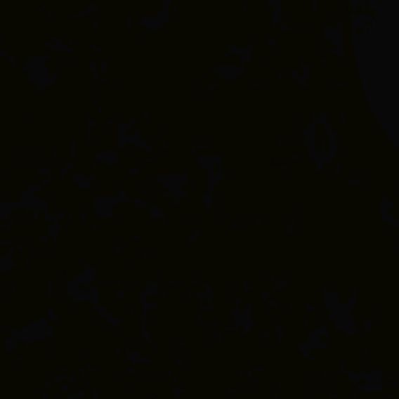 Robert Andries - Tiktok Profile Picture of Robert Andries (@robertandries6) on Tiktok