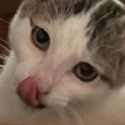 Profile Picture of kim (@kim.follmer) on Tiktok