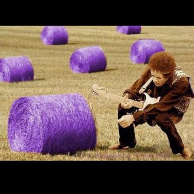 Profile Picture of John Hartzog Jr. (@oatmeal3759) on Twitter