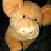 Profile Picture of Piggie Jesse (@piggie.jesse) on Facebook
