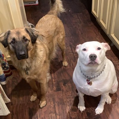 Profile Picture of Paul Otten (@pott514) on Twitter