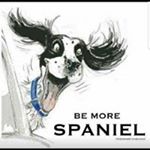 Jason Bayly - Instagram Profile Picture of Jason Bayly (@harleyboy.007) on Instagram