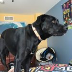 Profile Picture of Andrew Cicero (@soccertimejuju) on Instagram