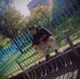 Profile Picture of Alex Hegedűs (@alex.hagedus.9) on Facebook