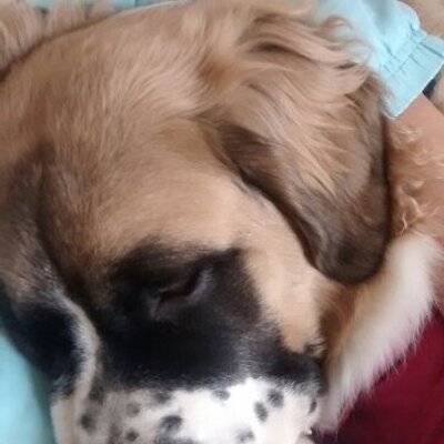 Profile Picture of Luis Plascencia (@Luisjav83) on Twitter