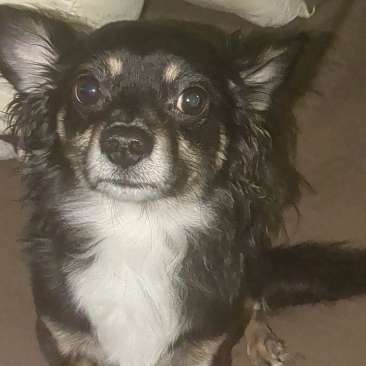 Profile Picture of George Cordero (@@georgecordero3) on Tiktok