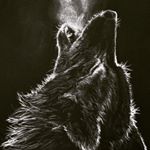 Profile Picture of Phillip Hardt (@hardt.p) on Instagram