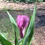 Profile Picture of David Tsai (@davidtsai7064) on Youtube