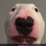 Profile Picture of Brady (@brady_david17) on Instagram