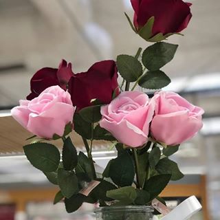 Profile Picture of Aftab Mirza (@Aftab-Mirza) on Facebook