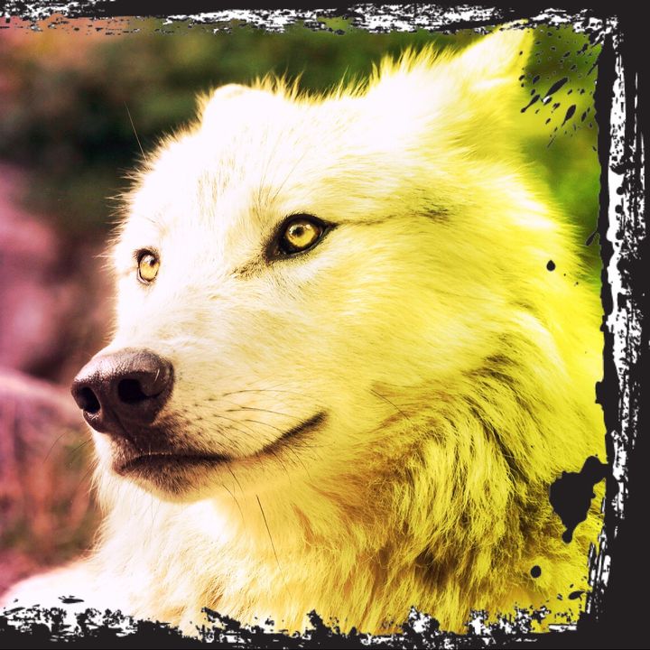 Profile Picture of user4443832315801 (@michaelwatrous1988) on Tiktok