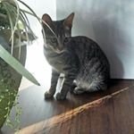 Profile Picture of Andy Myrıck (@myrick.andy) on Instagram