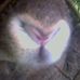 Profile Picture of John Teine (@john.teine) on Facebook