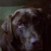 Profile Picture of Raymond Eckert (@raymond.eckert.5) on Facebook