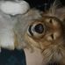 Profile Picture of Steve Bequette (@steve.bequette.7) on Facebook