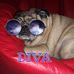 Profile Picture of Sharon Carlton (@sharon.carlton.1481) on Facebook